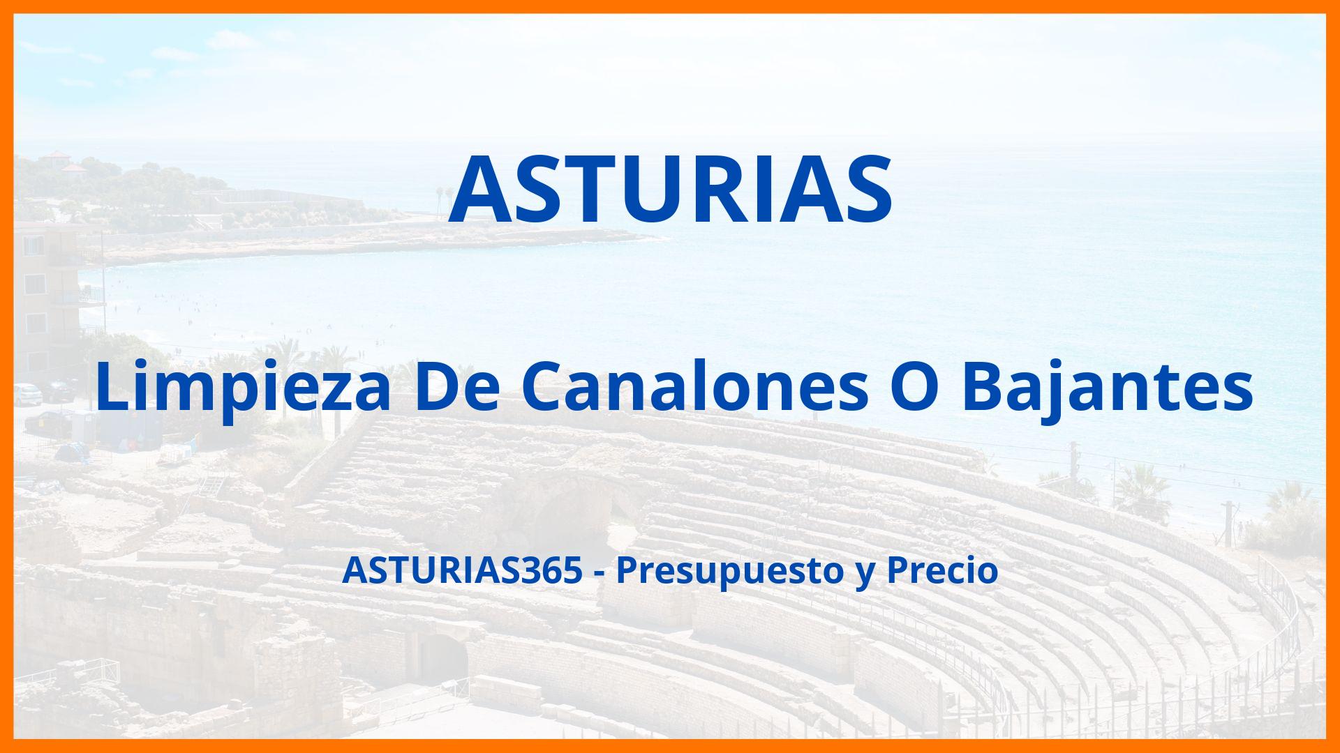 Bajantes: Servicios de Canalones Elocas Asturias